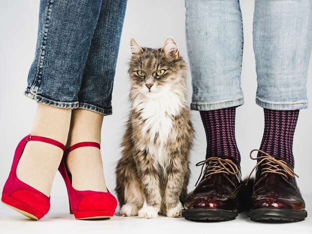 Cute, charming kitten and young couple in stylish shoes