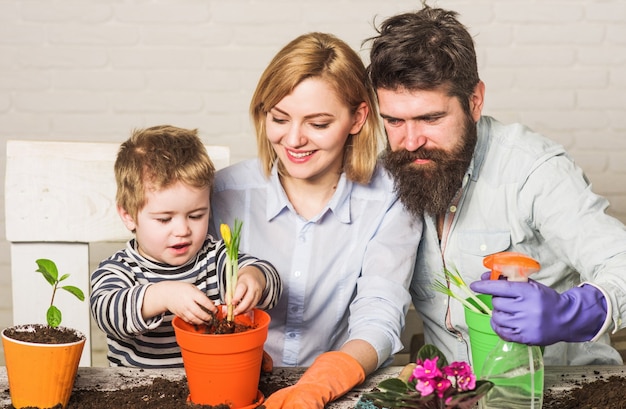 Cute child boy helps parents to care for plants. Happy family planting flowers in pot. Teamwork and family togetherness concept.