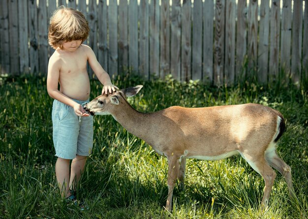 Cute child feeding a fawn pretty boy with graceful animal at park or in the forest kids adaptation