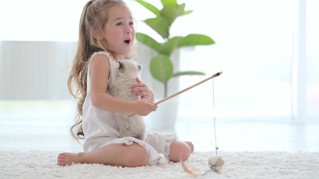 Cute child girl playing with ragdoll kitten and petting it. Pretty kid holding kitty cat in hands and hugging it