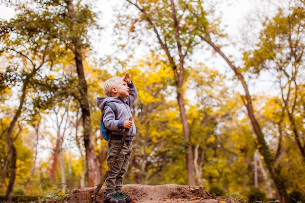 Cute child watching nature in forest in autumn time