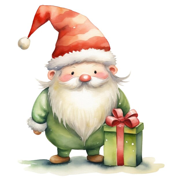 Cute Christmas Gnomes Illustration