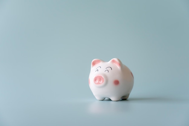 Cute and chubby piggy bank on light blue background