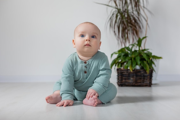 милый пухленький малыш в зеленом комбинезоне сидит на полу рядом с комнатным растением