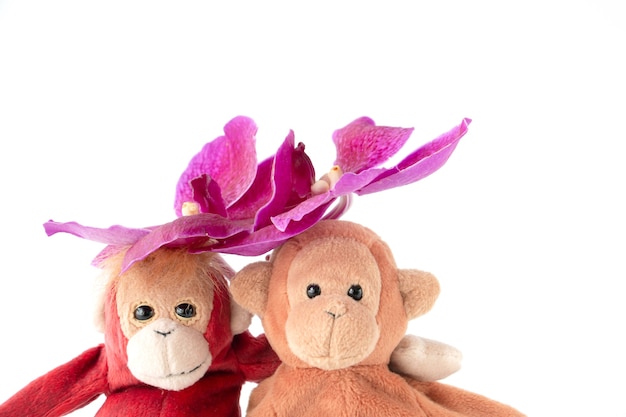 A cute couple of monkey is sitting with fresh orchids flower