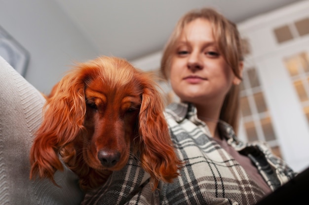 Foto lo stile di vita carino del cane all'interno