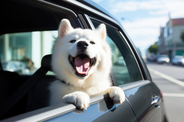 車の窓から外を眺めるかわいい犬 AI 生成