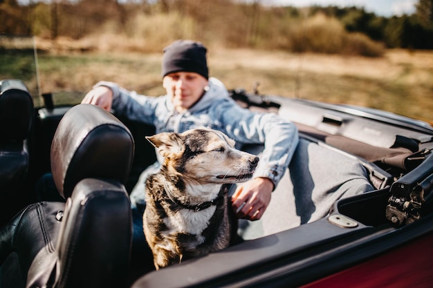 cute dog traveling in convertible car