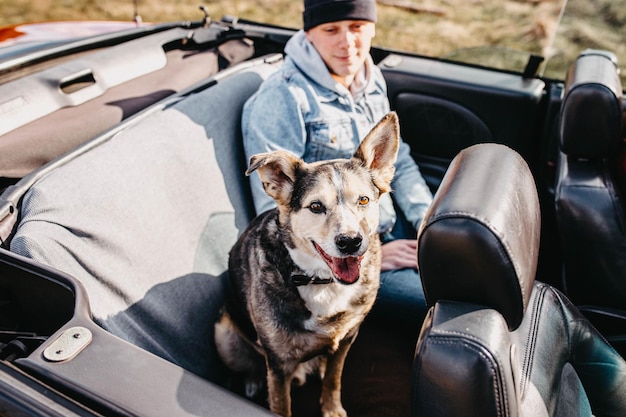 cute dog traveling in convertible car