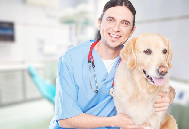 Cute dog at the vet with a happy doctor