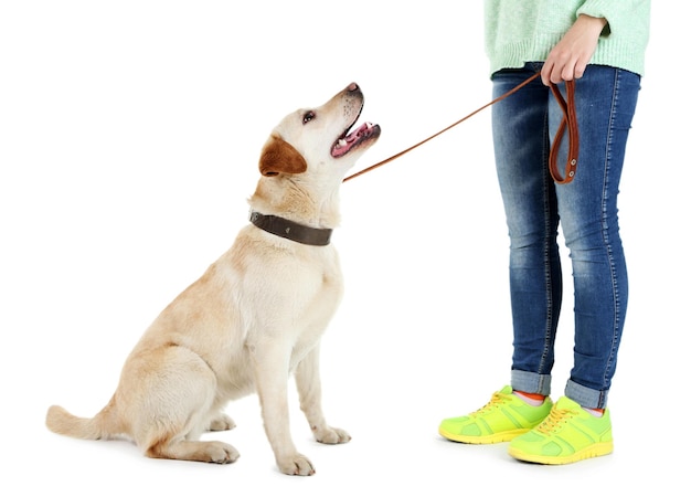 白い背景で隔離の女の子とかわいい犬