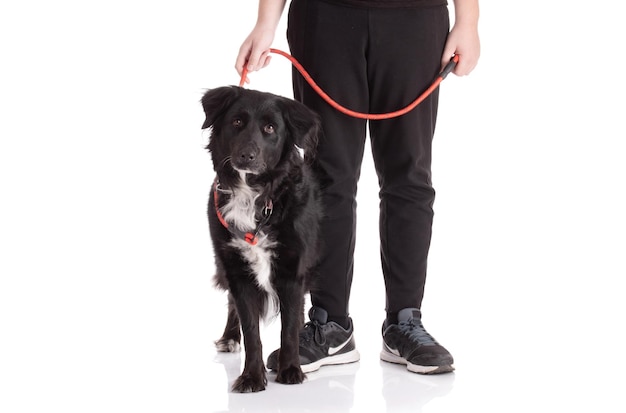 可愛い犬は人間だ