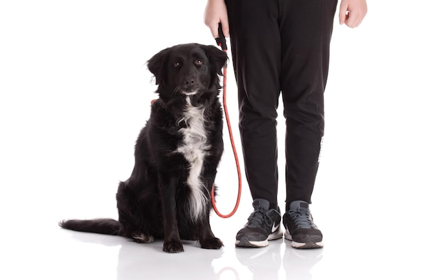 可愛い犬は人間だ