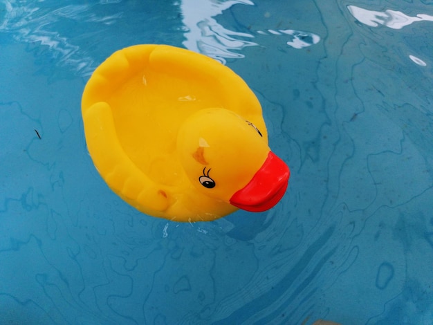 Фото Милая утка плавает в бассейне, моя детская игрушка.