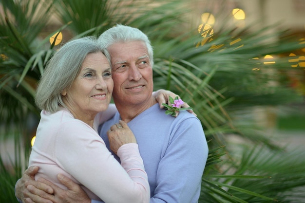 Cute elderly couple on a summer walk