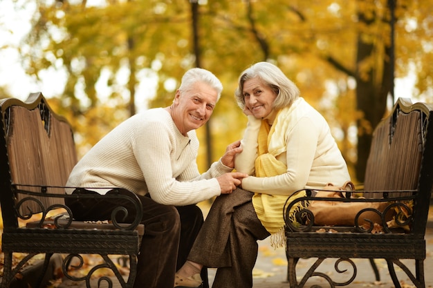 秋の公園を歩くかわいい老夫婦