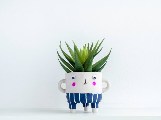 Photo cute face ceramic plant pot with green succulent plant on white wooden shelf isolated on white wall with copy space. small modern diy cement planter trendy decoration.