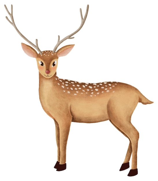 cute fallow deer animal png sticker drawing