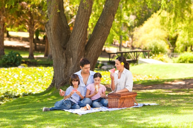 かわいい家族は公園でピクニックをしています