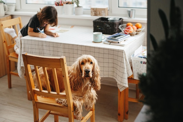 Cute five years girl learning home