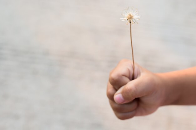Cute flowers grass in my hand in vintage style,Blurry focus image