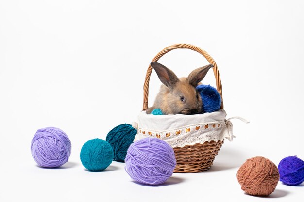 A cute fluffy brown rabbit sits in a basket with tangles of knitting yarn