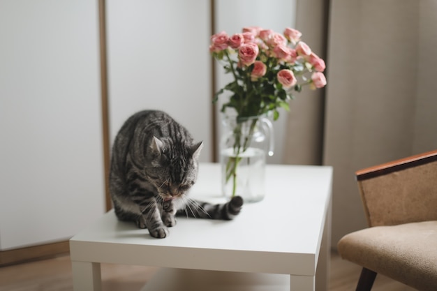 Cute funny cat and jug with rose flowers in a light cozy room interior decoration