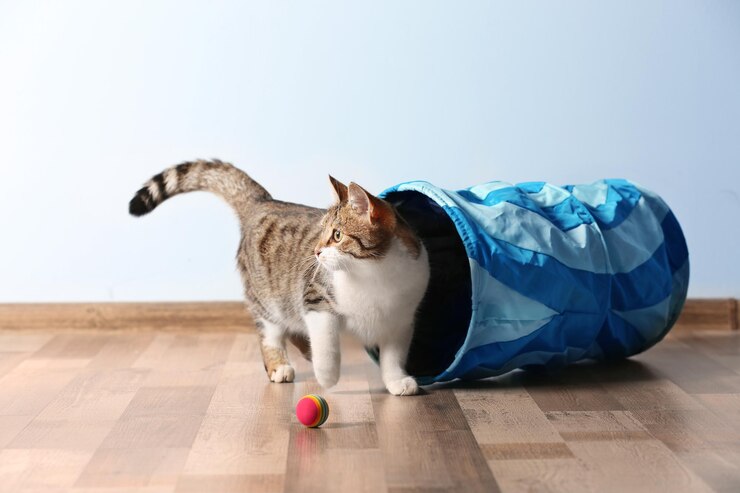 Photo cute funny cat playing at home