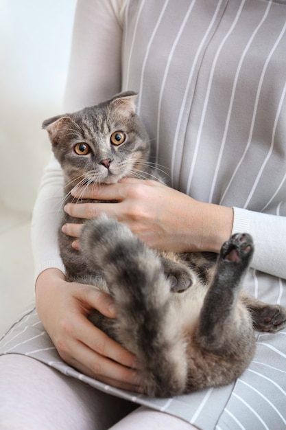 Simpatico gatto divertente con il proprietario a casa, primo piano