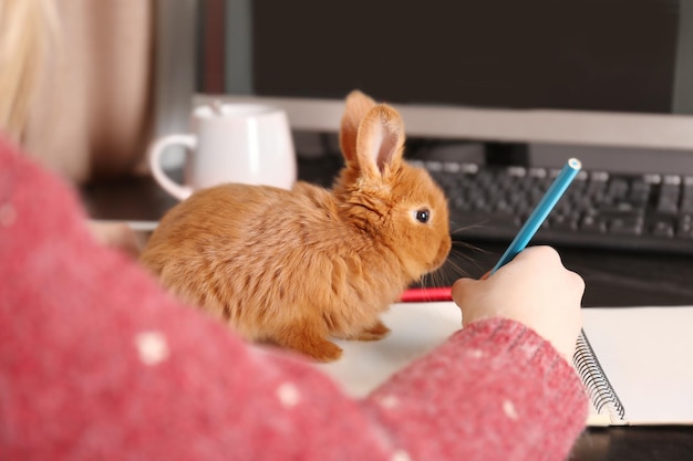 Photo cute funny rabbit sitting on notebook and woman at desk