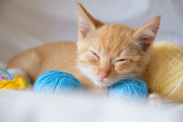 Cute ginger cat and different colored balls of thread on the\
background of white bed linen, the kitten is sleeping sweetly after\
playing with threads on the bed