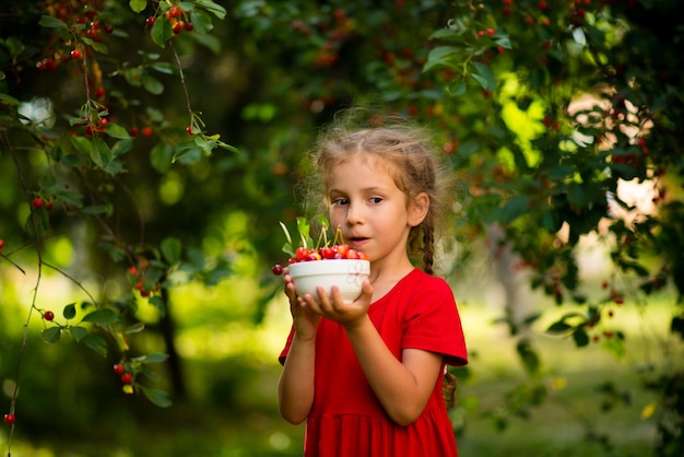 6세의 귀여운 소녀가 해질녘 정원에서 체리를 따다 맛있는 음식 과일