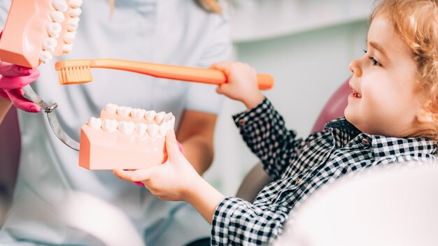 Foto ragazza carina che spazzola le dentiere con il dentista in ufficio.