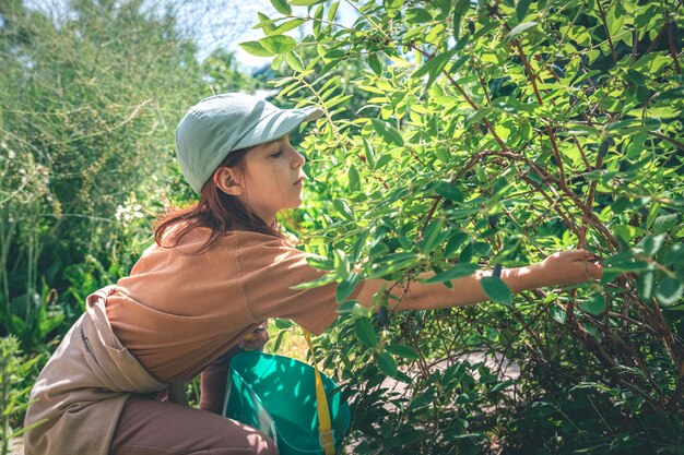 Photo cute girl in the garden in the summer picks honeysuckle from a bush