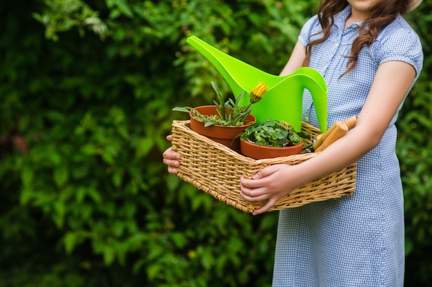 Cute girl gardener holding basket and horticultural tools in garden on sunny day