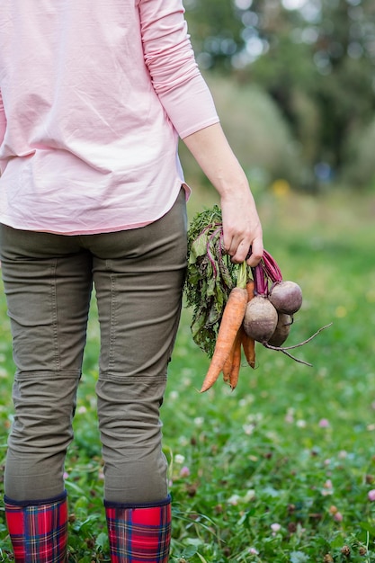 Cute girl holding carrots and beets in hands just to collect in garden Freshly harvested vegetables