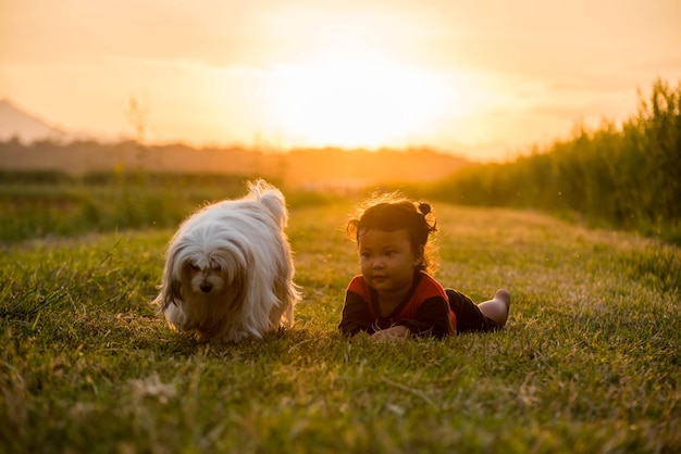 Foto ragazza carina sdraiata accanto al cane sull'erba