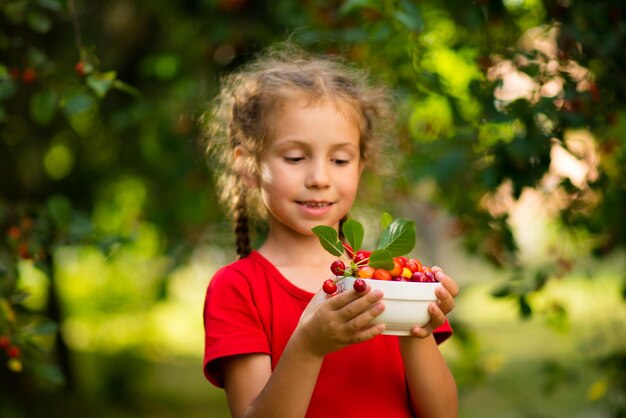 A cute girl picks cherries in the garden at sunset Summer Ecofriendly products