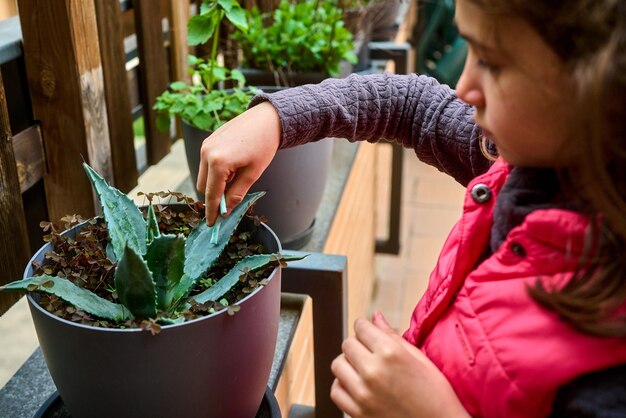 写真 植物のそばに座っている可愛い女の子