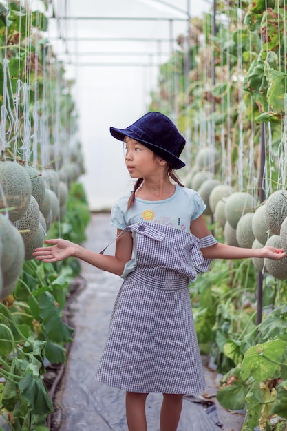 Photo cute girl standing amidst cantaloupes growing on farm