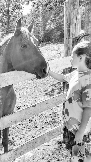 Foto ragazza carina che tocca il cavallo in fattoria