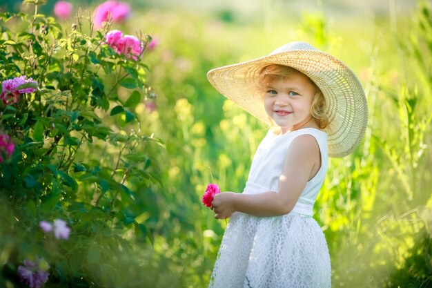 Cute girl wearing hat and white dress stand in the pink flower field of Sunn Hemp Crotalaria Juncea