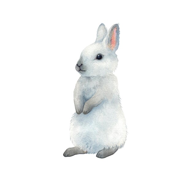 Photo cute gray watercolor rabbit on isolated white background hand daraw illustration with baby animals