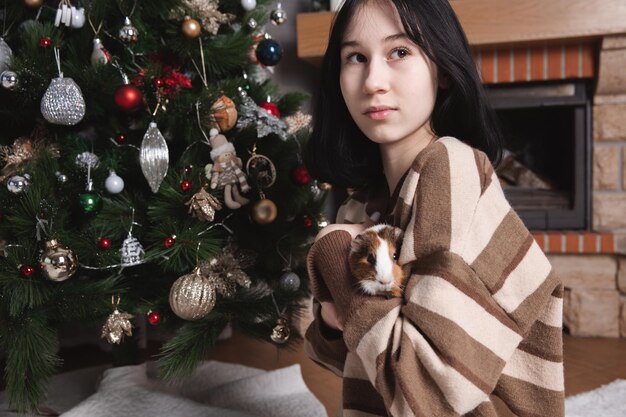 Cute guinea pig in the girl's arms child and animal concept