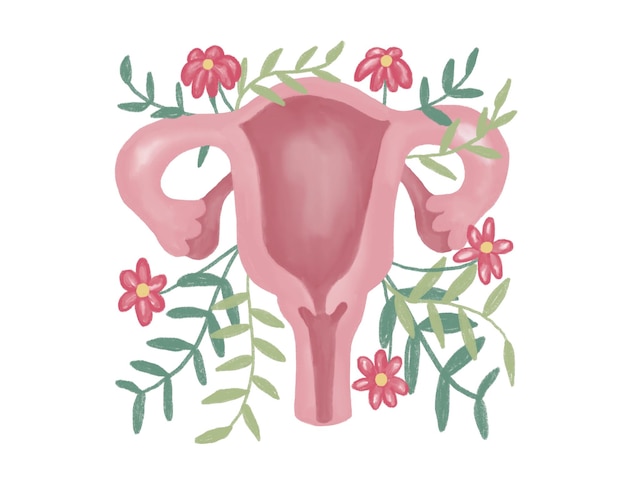 Illustrazione ad acquerello disegnata a mano carina del sistema riproduttivo femminile con fiori ginecologia femminile simbolo della vagina mestruazioni