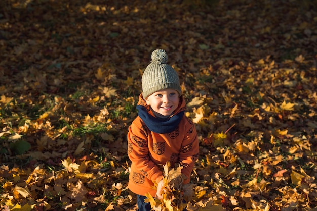 милый счастливый мальчик бросает осенние листья на открытом воздухе в солнечный день