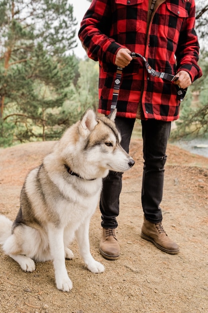Simpatico cane husky seduto sul sentiero nel bosco o ambiente rurale mentre il suo proprietario lo tiene al guinzaglio durante il freddo