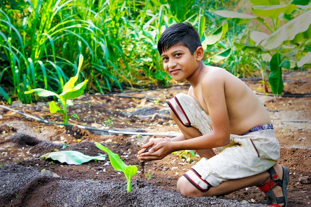 Cute indian child  