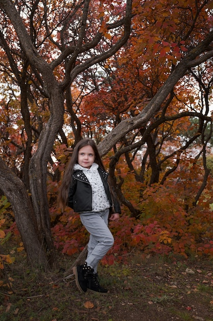 公園でセーターとジャケットを着ている4-5歳のかわいい子供の女の子。カメラを見てください。秋の季節。子供時代。ファッショナブルでスタイリッシュで魅力的な小さな女性