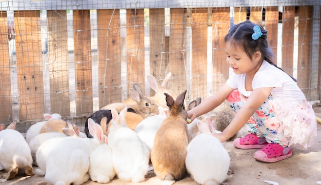 かわいい小さなアジアの女の子が農場でウサギに餌をやる